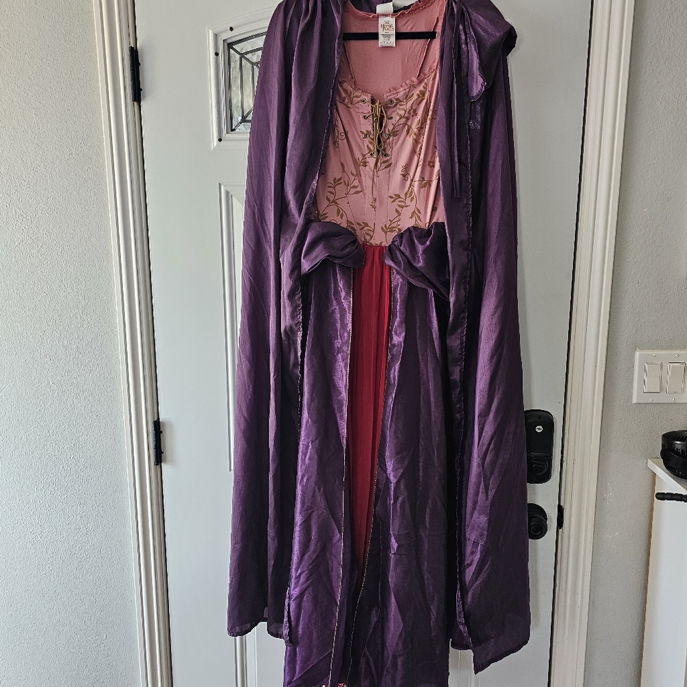 Sarah Sanderson Costume